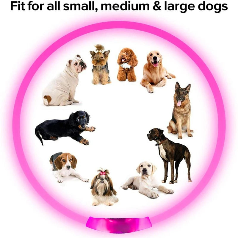 USB Rechargeable LED Glow Dog Collar