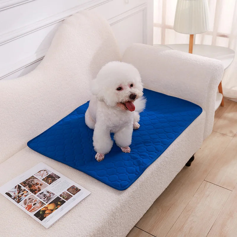 Reusable Washable Puppy Training Pad – Absorbent Pet Mat