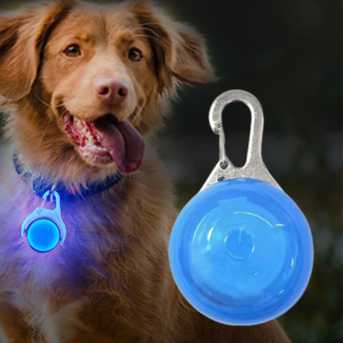 LED Glow Pendant for Collars - product detail view