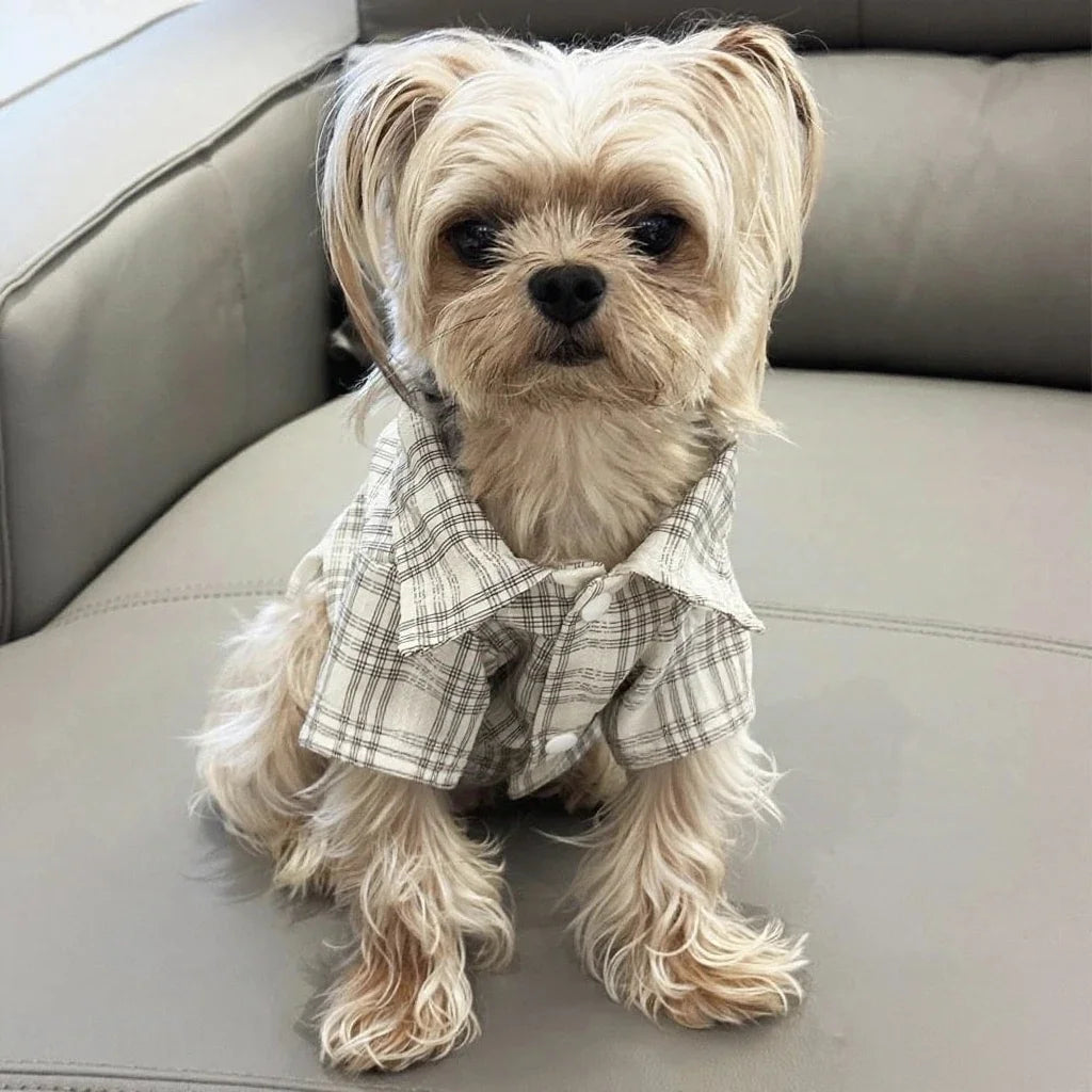 Plaid Shirt for Dogs & Cats - main product photo