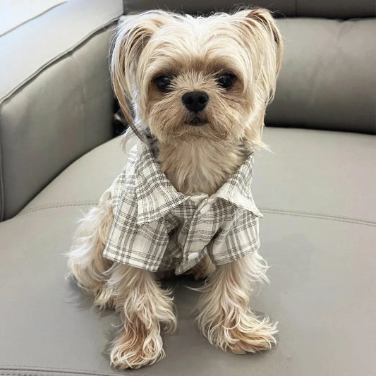 Plaid Shirt for Dogs & Cats - main product photo