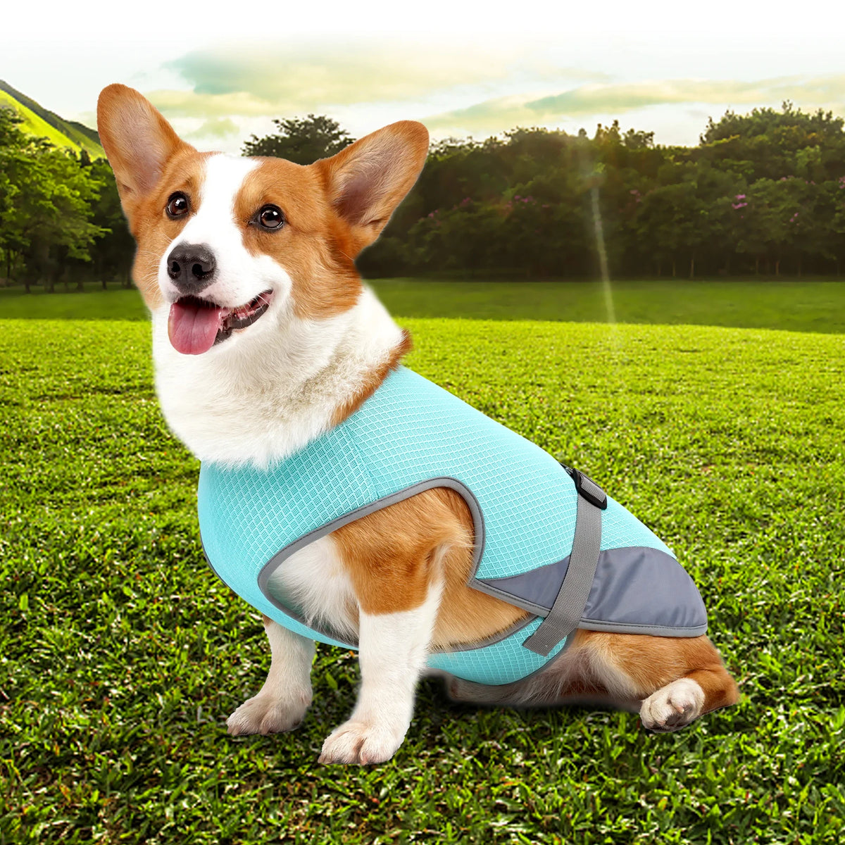 Breathable Cooling Vest for Dogs - product detail view