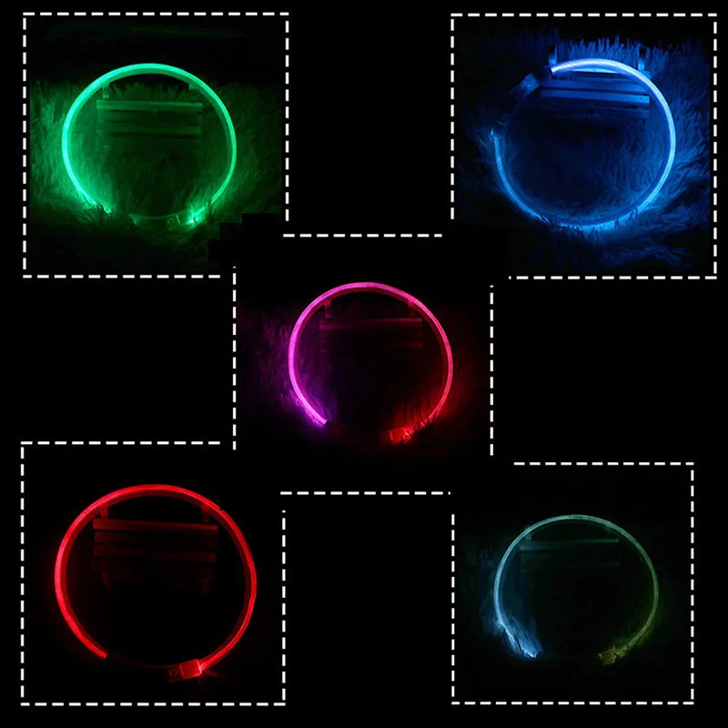 USB Rechargeable LED Glow Collar - product detail view