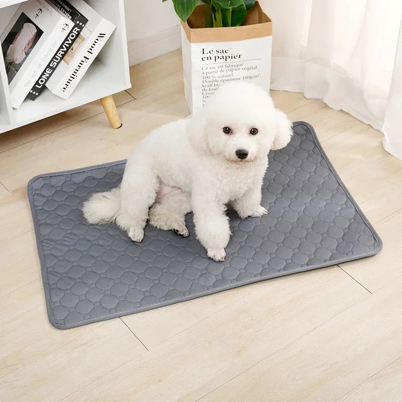 Reusable Washable Puppy Training Pad - close-up of absorbent layers