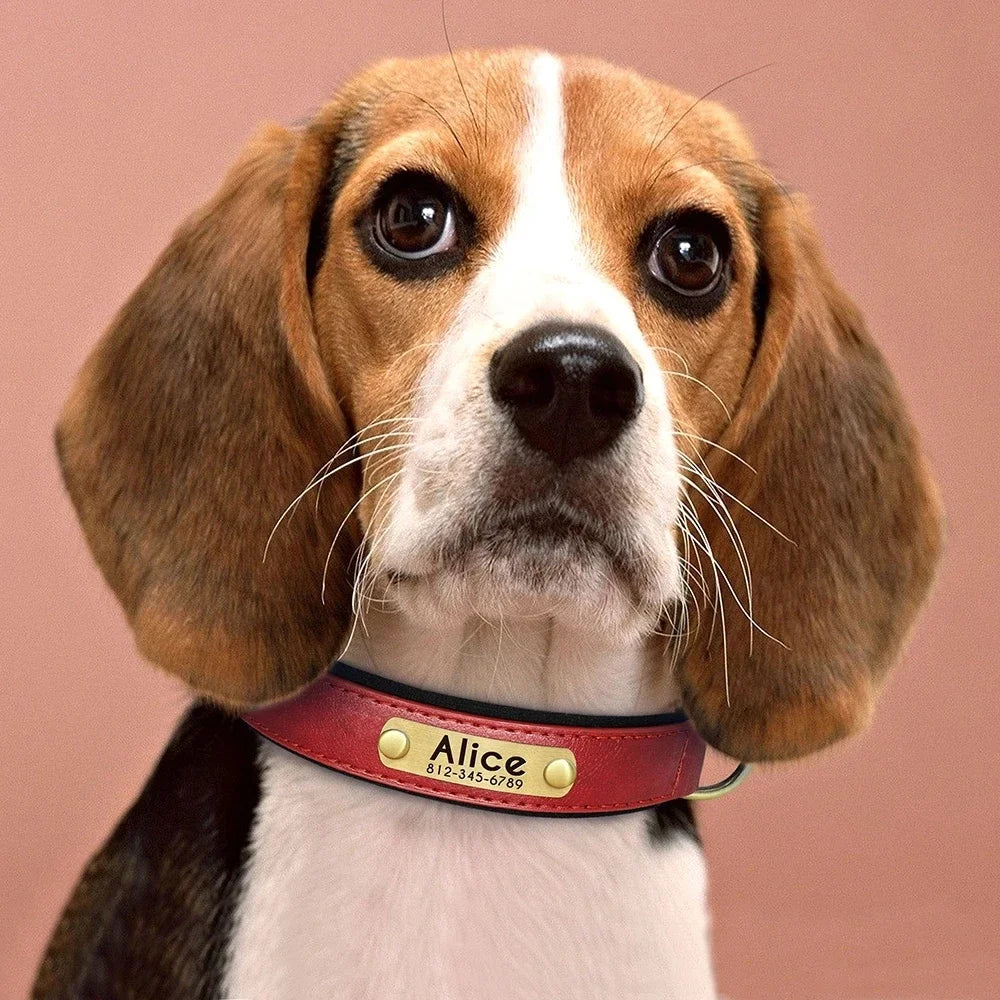 Personalized Leather ID Collar for Dogs – Free Engraving