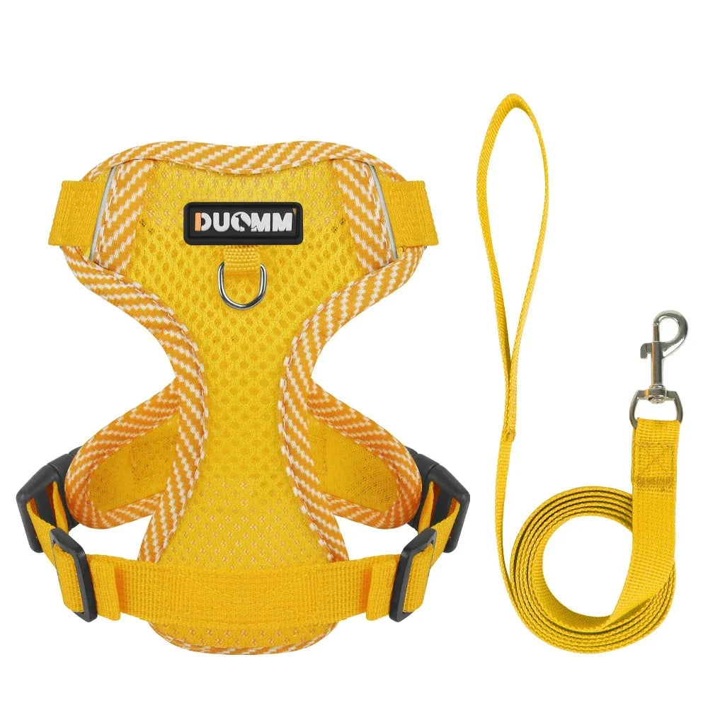 Reflective Harness & Leash Set for Small Dogs