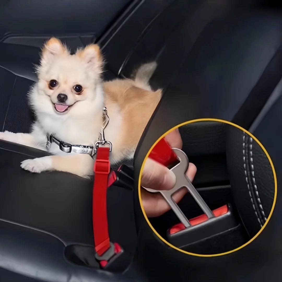 Rust-Proof Pet Seat Belt Clip - product detail view