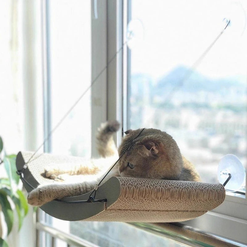 Curved Window Hammock Bed for Cats - close-up of curved frame