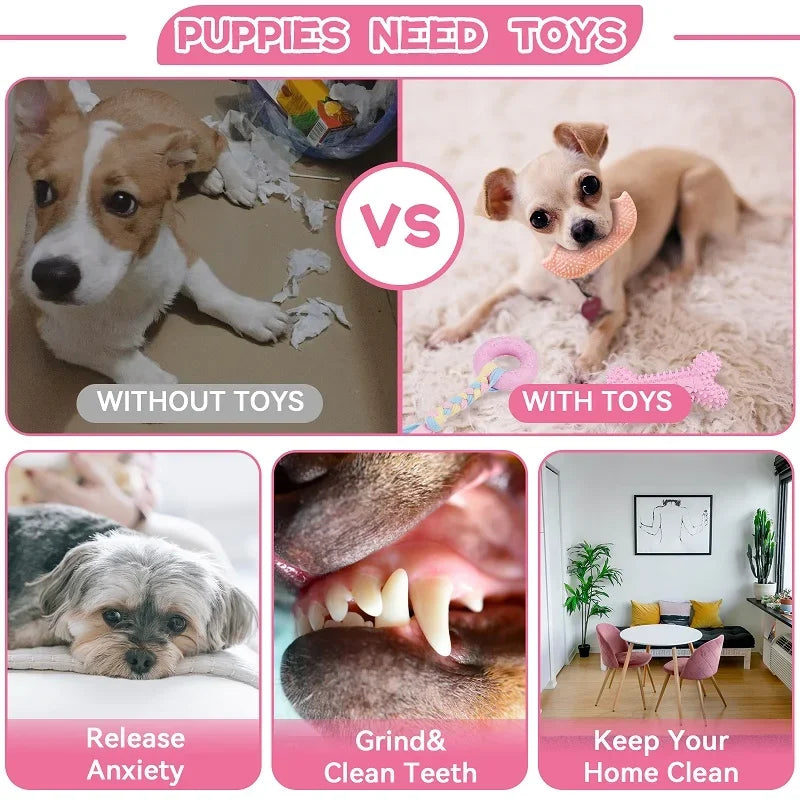 Rubber Bone & Treat Ball Chew Toy Set for Small Dogs