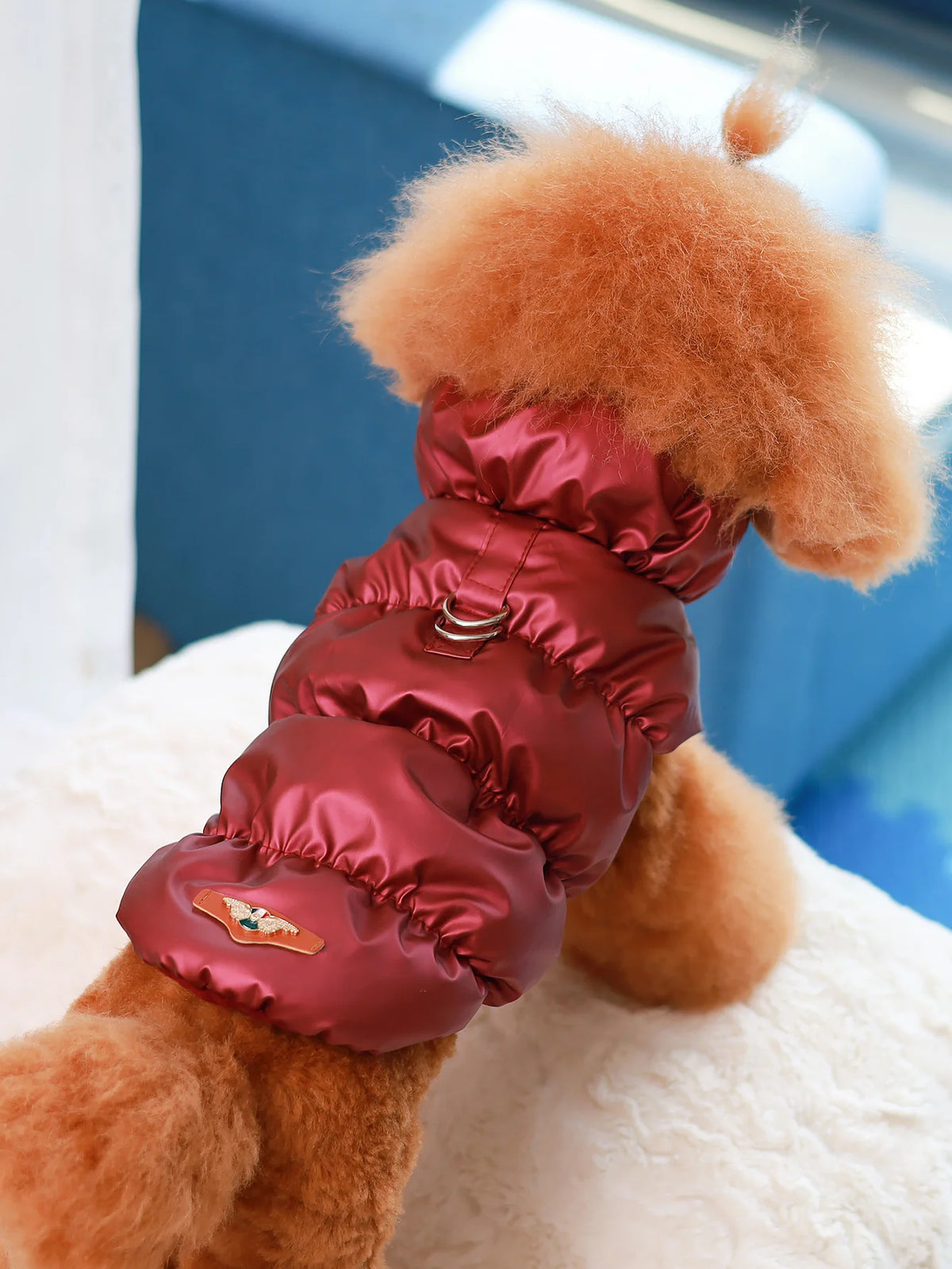 3-Layer Thick Dog Coat - product detail view