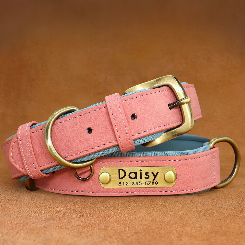 Personalized PU Leather ID Collar for Dogs