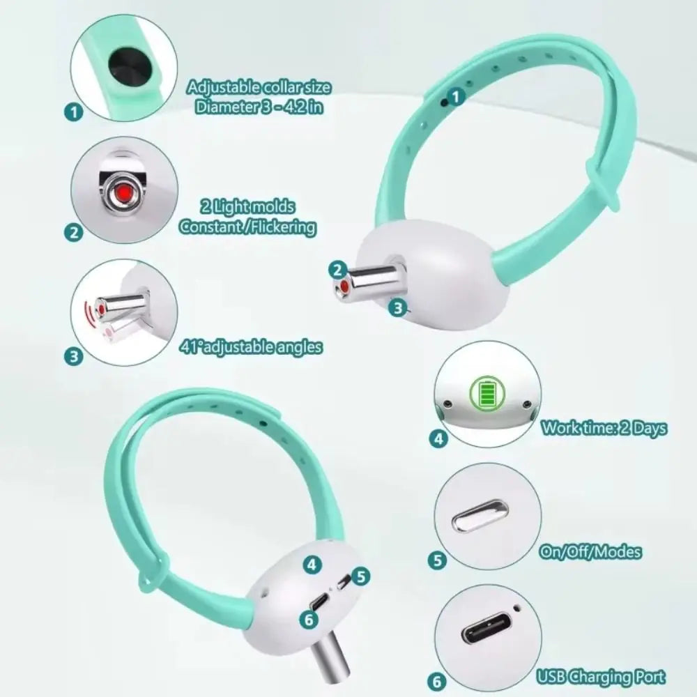 LED Light-Up Collar for Cats – Glow Safety Accessory