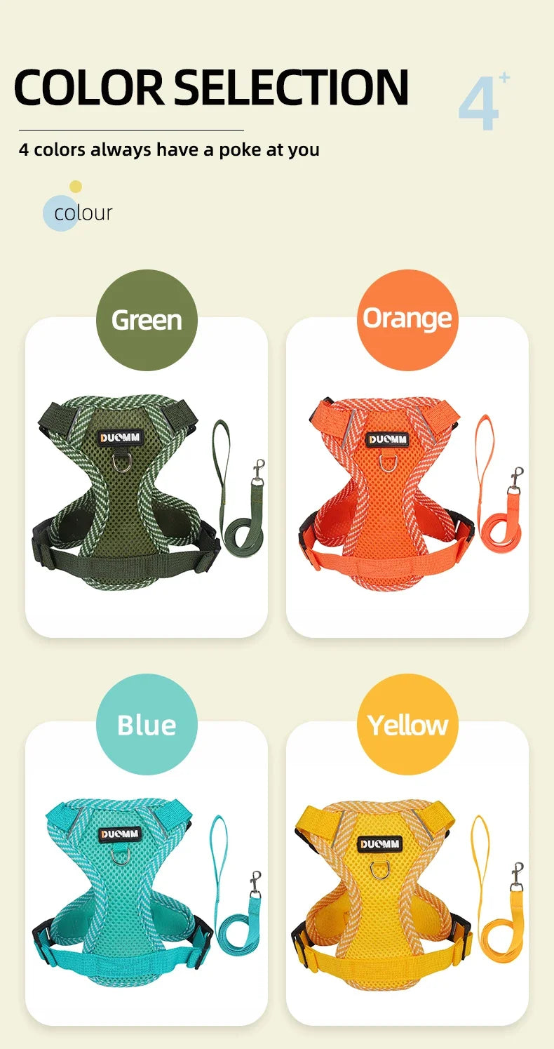 Reflective Harness & Leash Set for Small Dogs