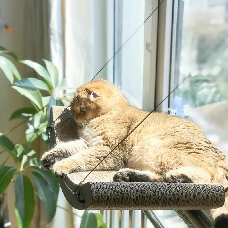 Curved Window Hammock Bed for Cats - product detail view
