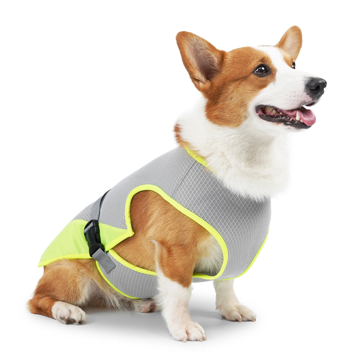Breathable Cooling Vest for Dogs - product detail view