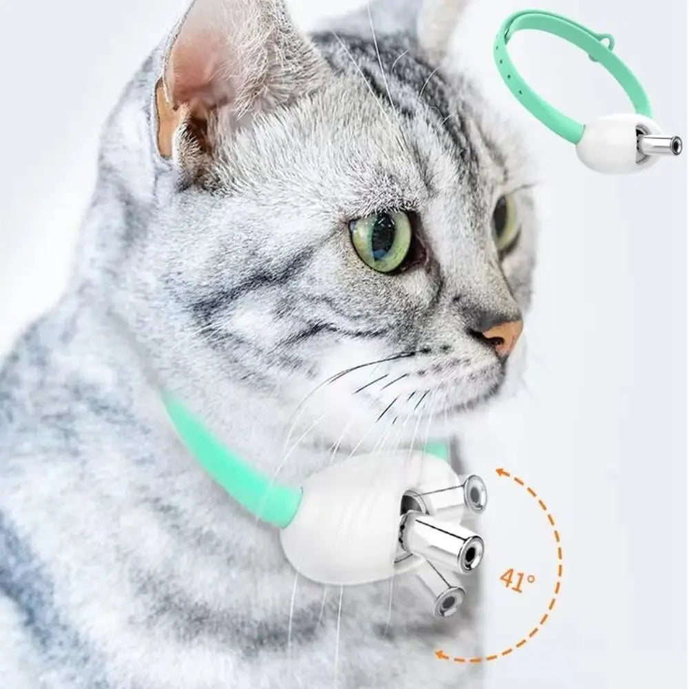 LED Light-Up Collar for Cats – Glow Safety Accessory