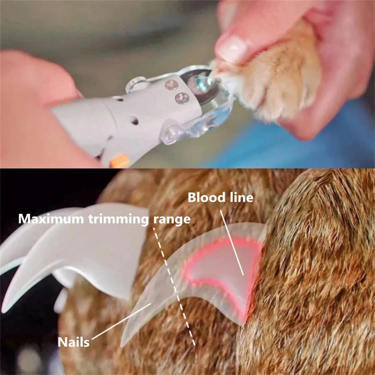 LED Light Pet Nail Clippers - product detail view