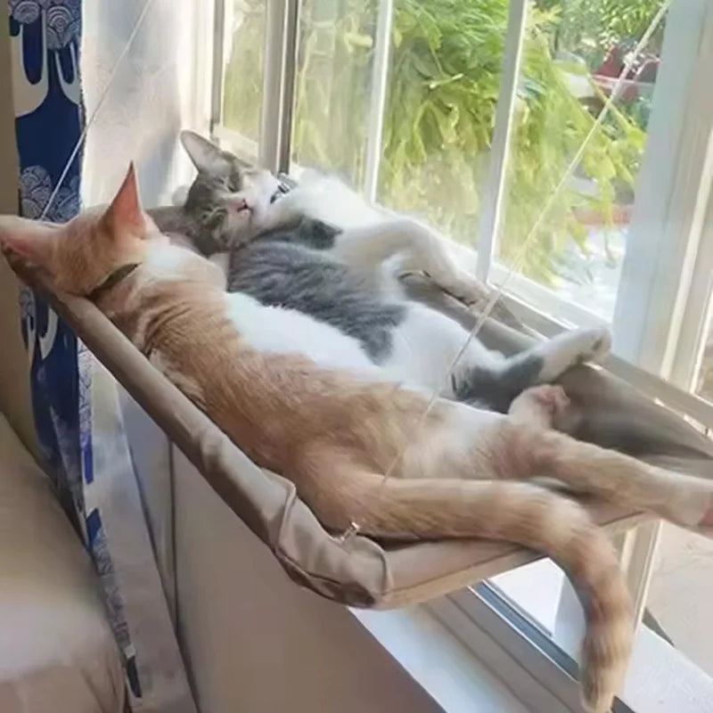 Cat Window Hammock - main product photo