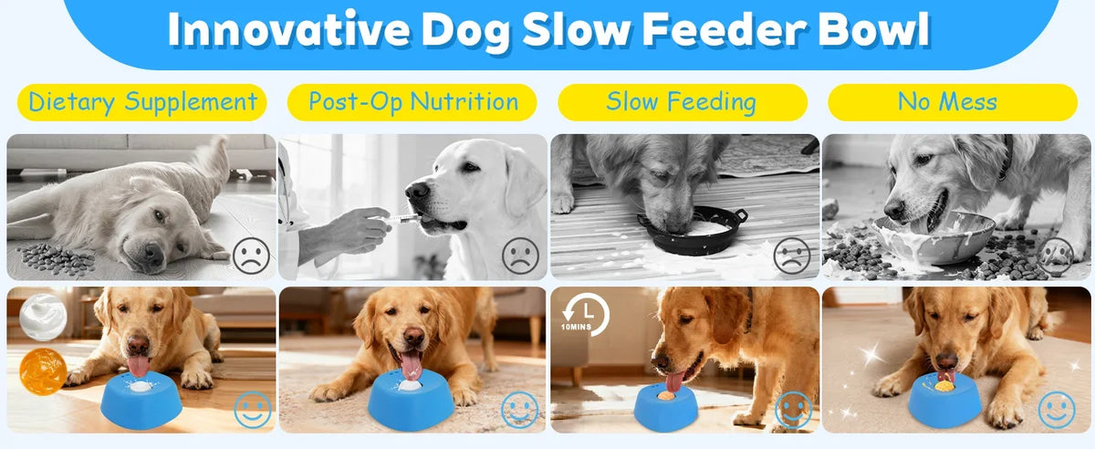 Slow Lick Bowl for Dogs - product detail view