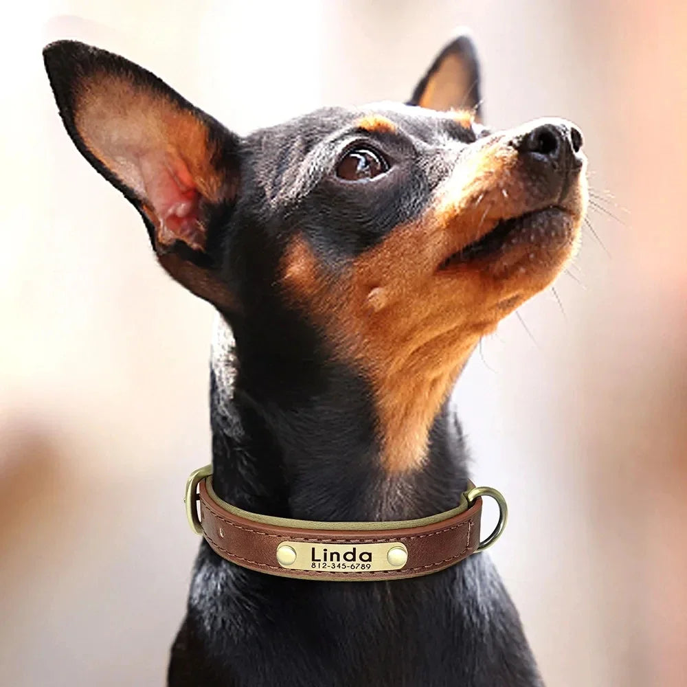 Personalized Leather ID Collar for Dogs – Free Engraving