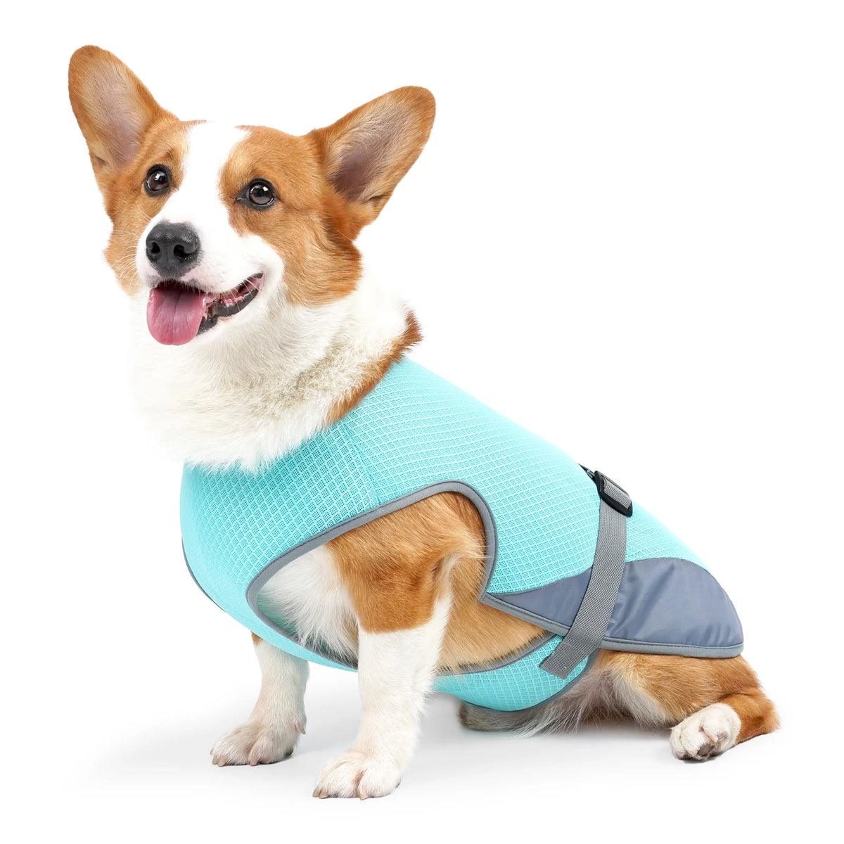 Breathable Cooling Vest for Dogs - main product photo