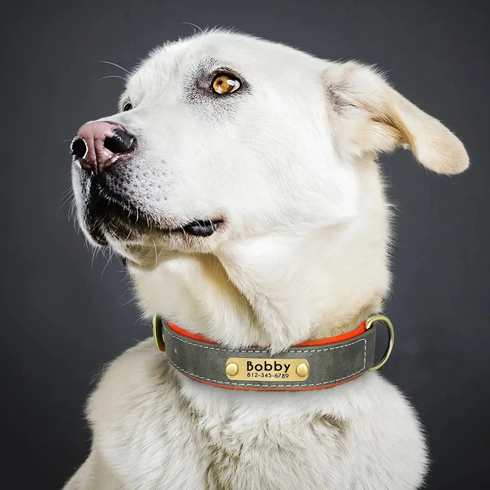 Personalized Leather ID Collar - product detail view