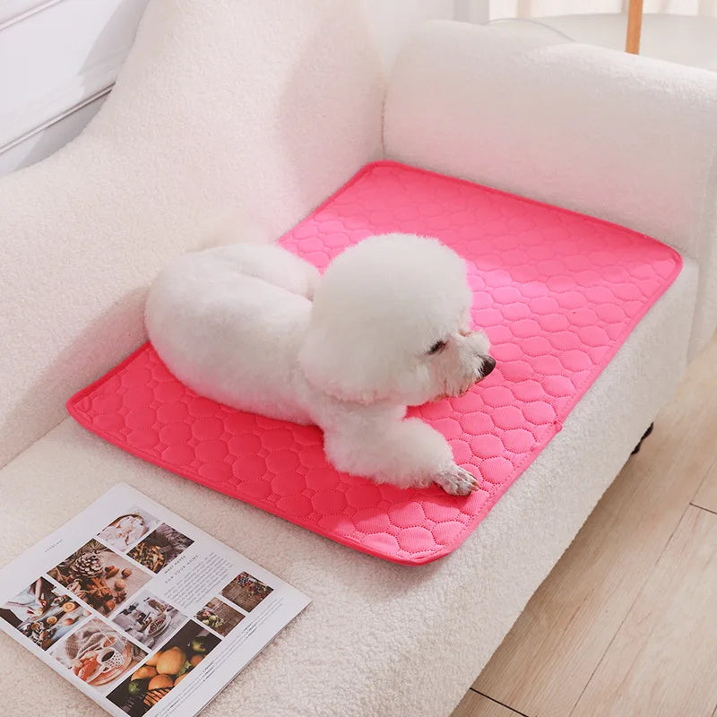 Reusable Washable Puppy Training Pad – Absorbent Pet Mat