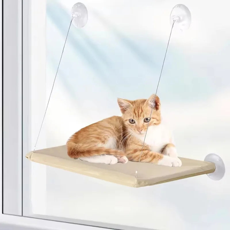 Cat Window Hammock - close-up of suction cup mounts