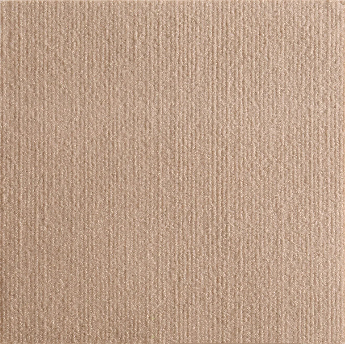 Self-Adhesive Cat Scratching Mat – Furniture Protector