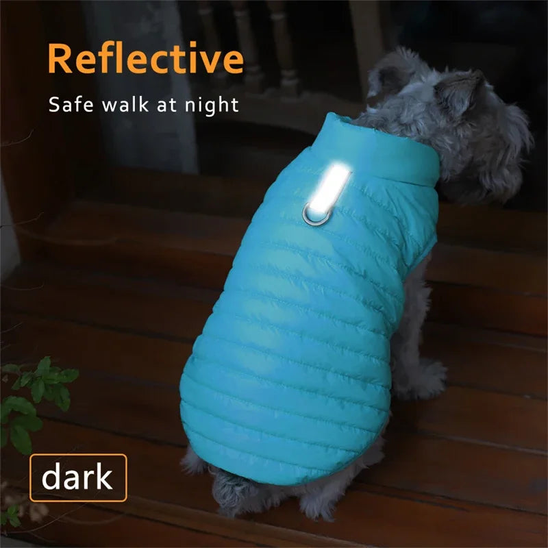 Padded Winter Dog Coat - product detail view