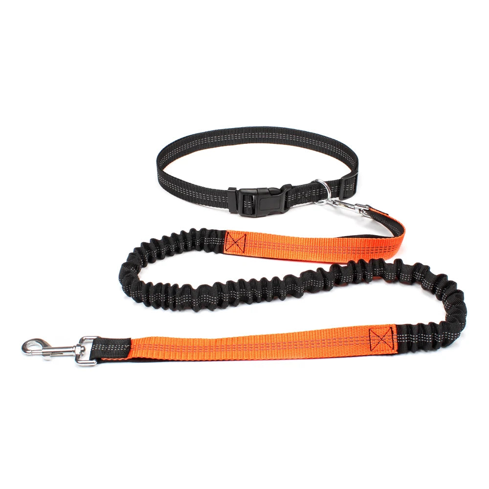 Hands-Free Running Leash with Waist Belt for Dogs