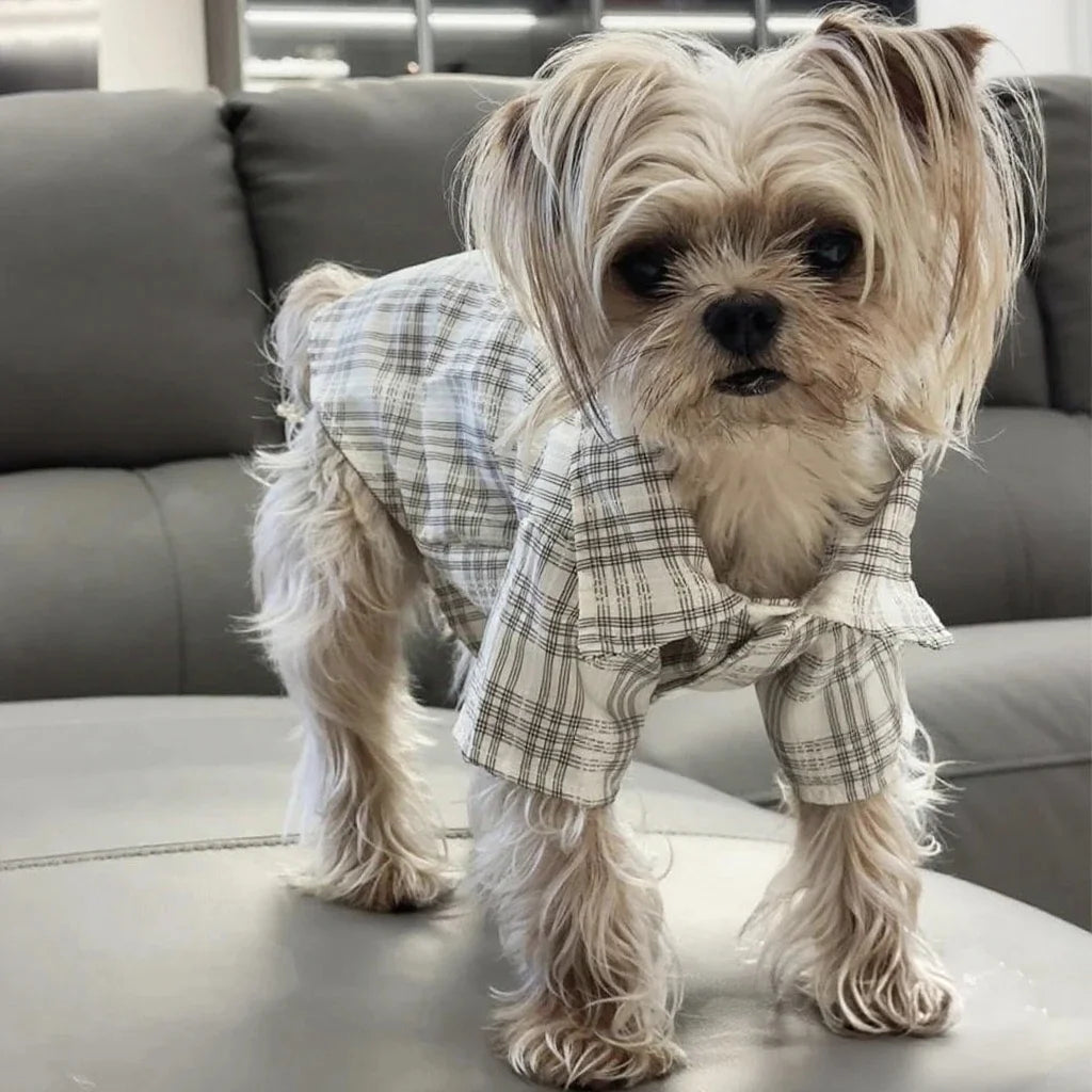 Plaid Shirt for Dogs & Cats - product detail view