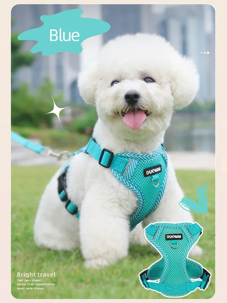 Reflective Harness & Leash Set for Small Dogs