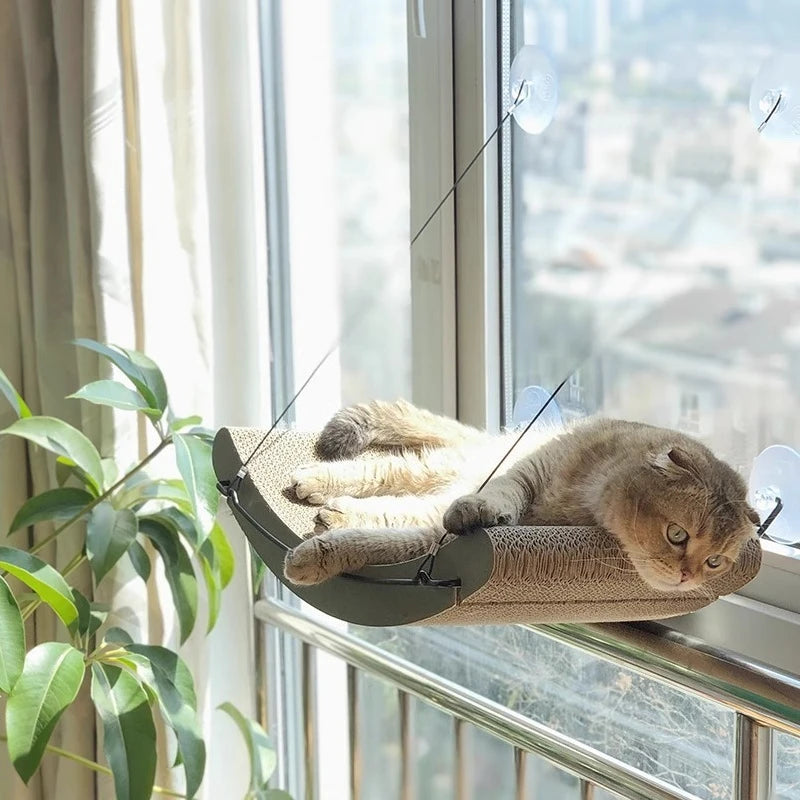 Curved Window Hammock Bed for Cats - product detail view