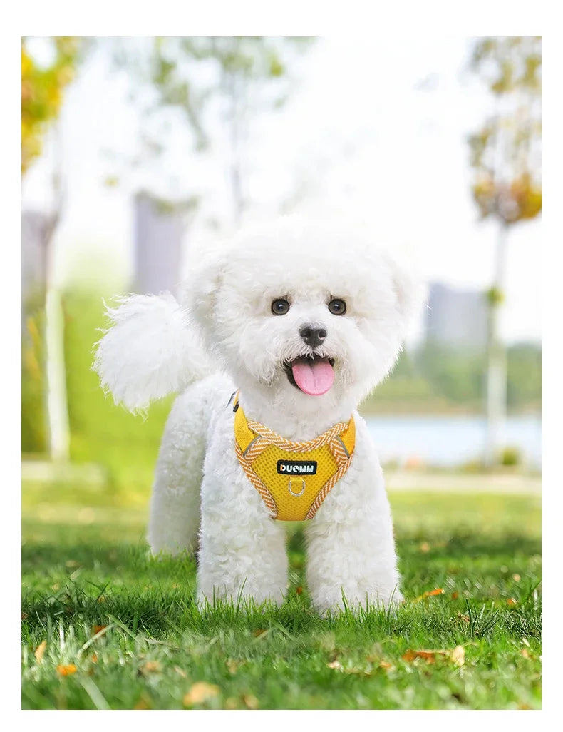 Reflective Harness & Leash Set for Small Dogs