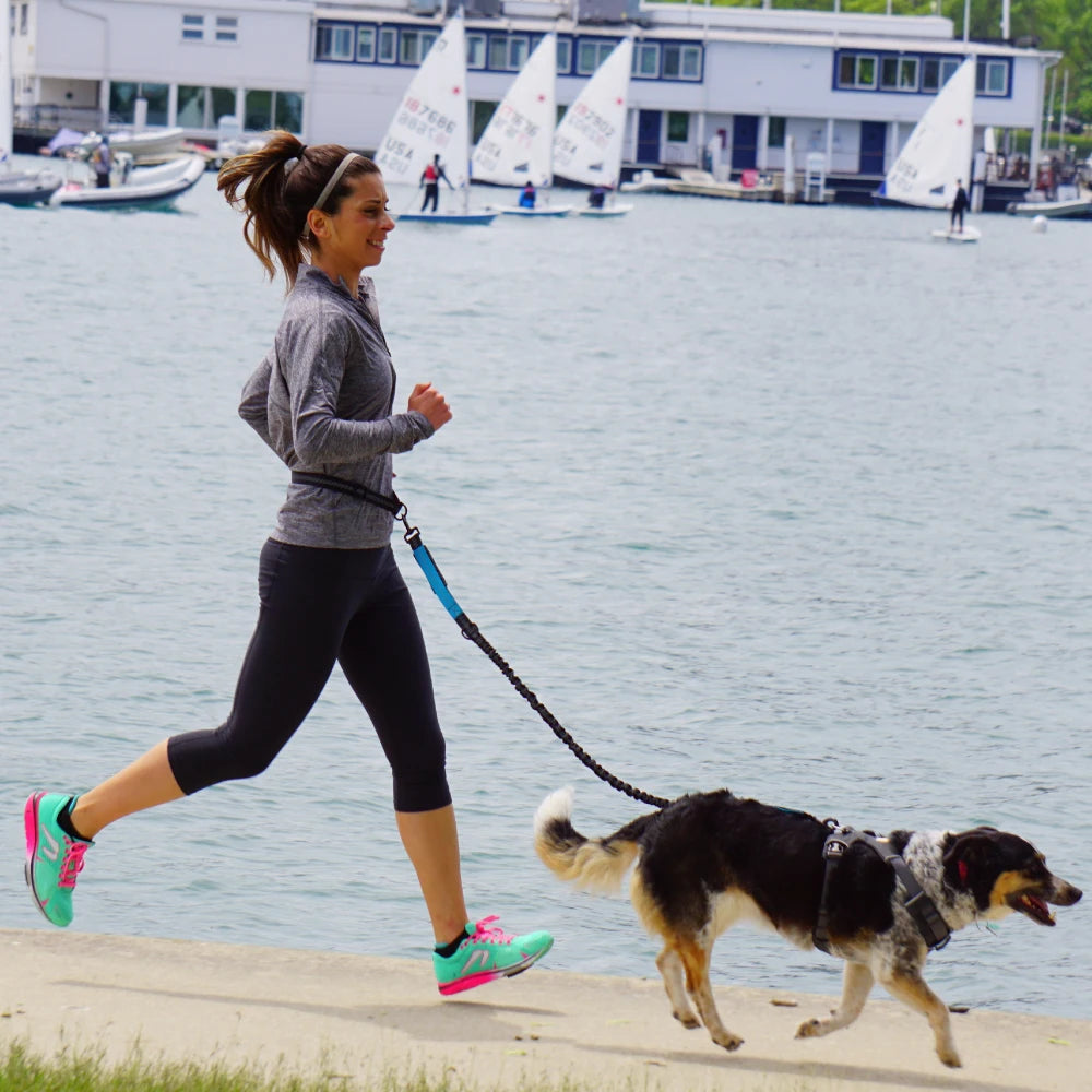 Hands-Free Running Leash with Waist Belt - main product photo