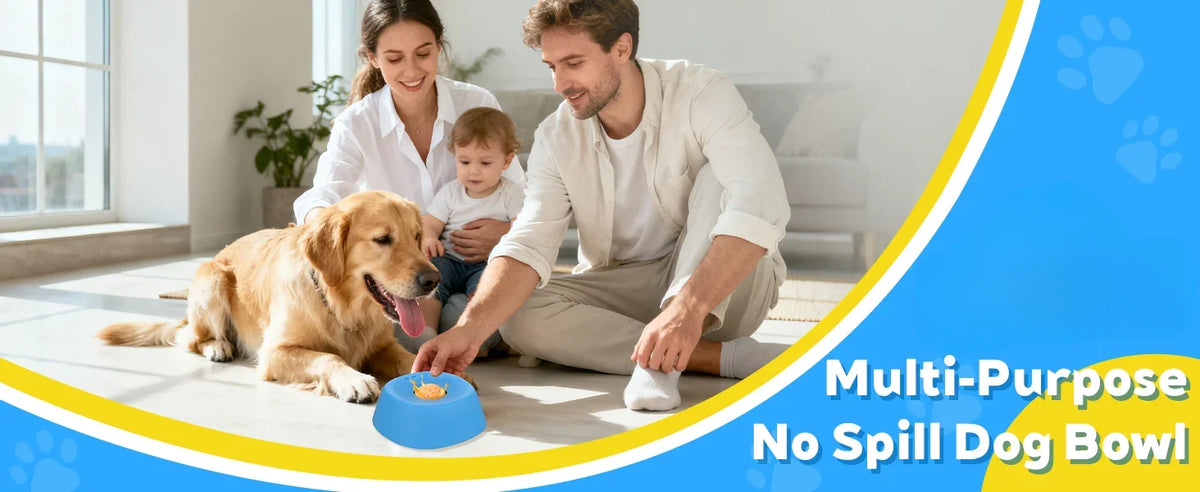 Slow Lick Bowl for Dogs - product detail view