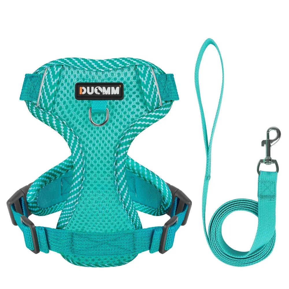 Reflective Harness & Leash Set for Small Dogs