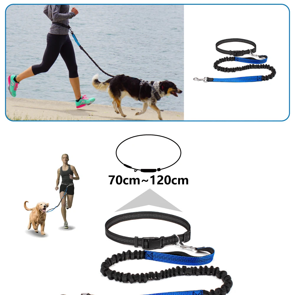Hands-Free Running Leash with Waist Belt - product detail view