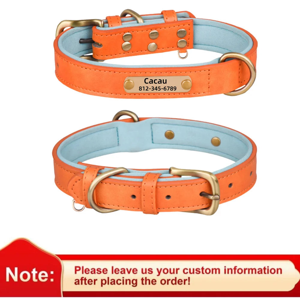 Personalized Leather ID Collar for Dogs – Free Engraving