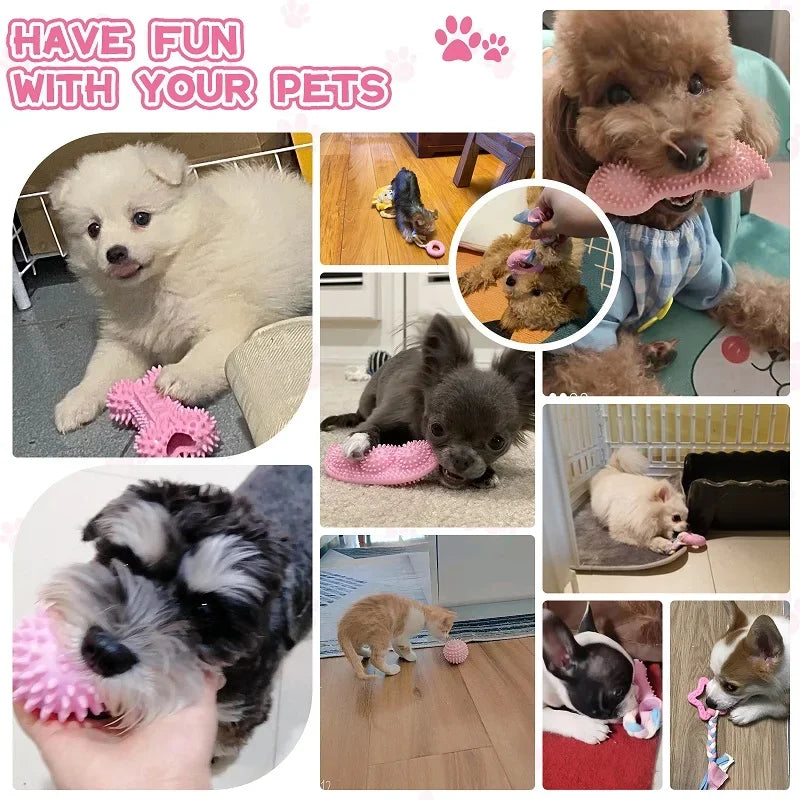 Rubber Bone & Treat Ball Chew Toy Set - small dog chewing rubber toy