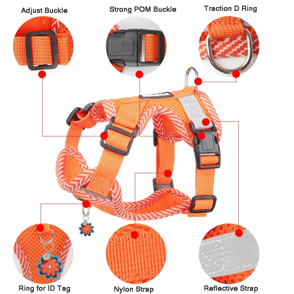 Reflective Harness & Leash Set - product detail view