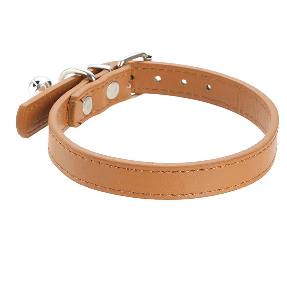 Leather Bell Collar for Dogs - dog wearing leather collar with bell
