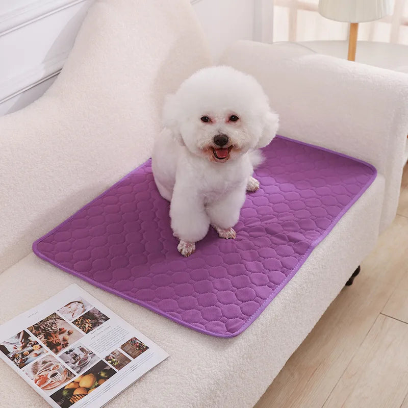 Reusable Washable Puppy Training Pad – Absorbent Pet Mat