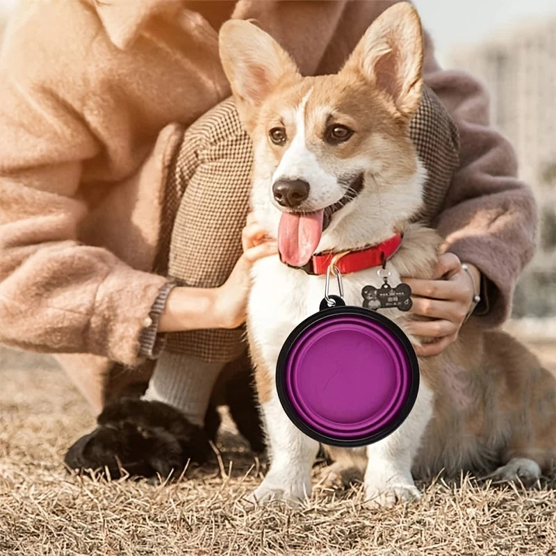 Collapsible TPR Travel Bowl for Pets - product detail view