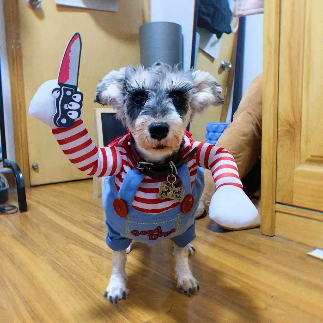 Halloween Costume for Pets - close-up of costume detailing