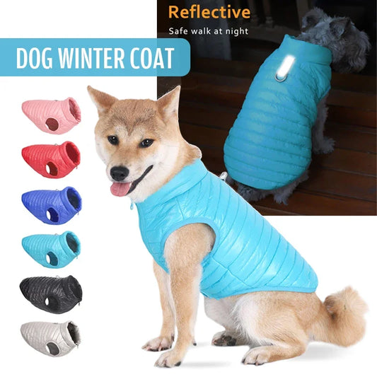 Padded Winter Dog Coat - main product photo