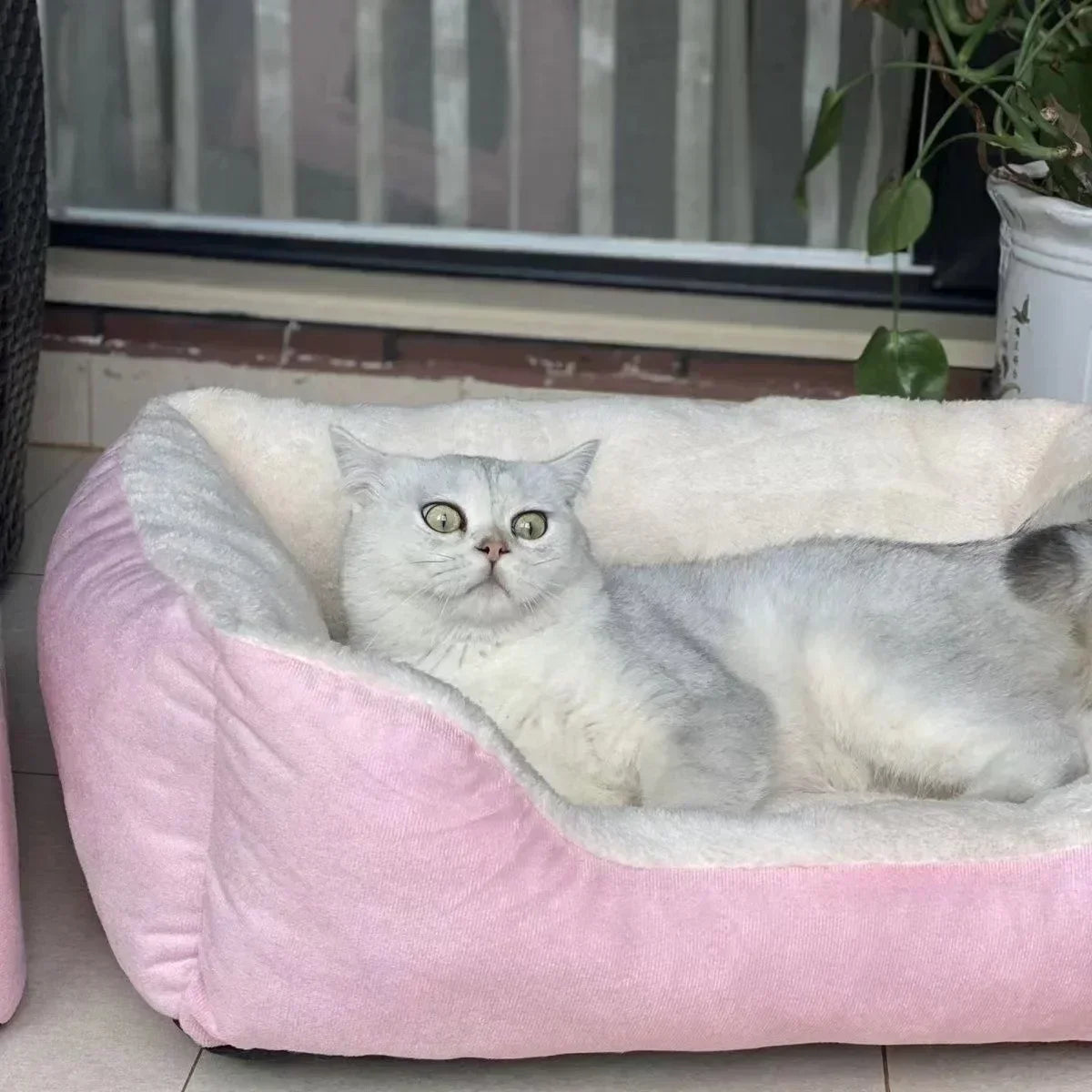 Cozy Round Pet Bed - product detail view