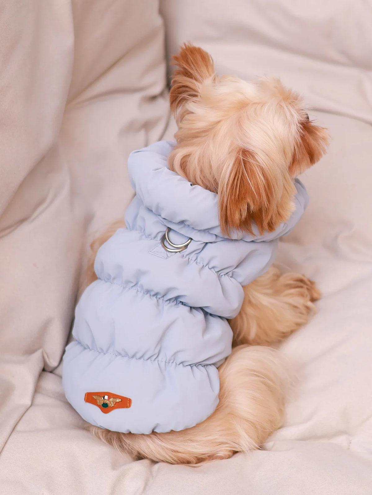 3-Layer Thick Dog Coat - product detail view