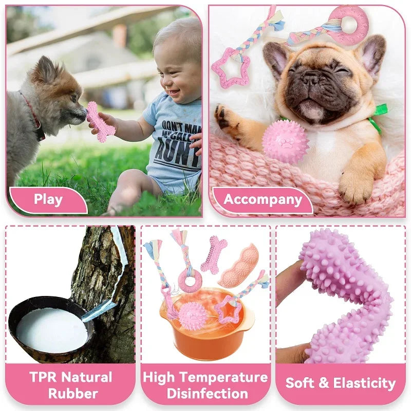 Rubber Bone & Treat Ball Chew Toy Set for Small Dogs